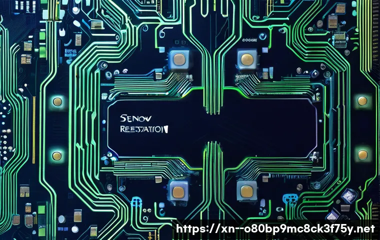 신건지동 STATUS_STACK_BUFFER_OVERRUN 관련 이미지 2