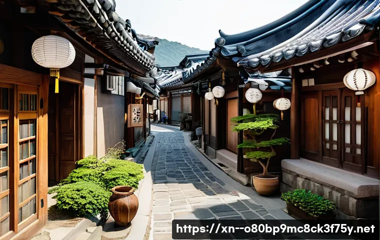 인사동 STATUS_PROTECTION_ERROR 관련 이미지 2