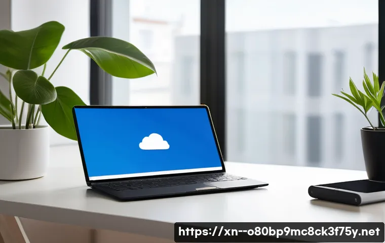 고덕면 STATUS_FILE_WRITE_FAILURE 관련 이미지 2