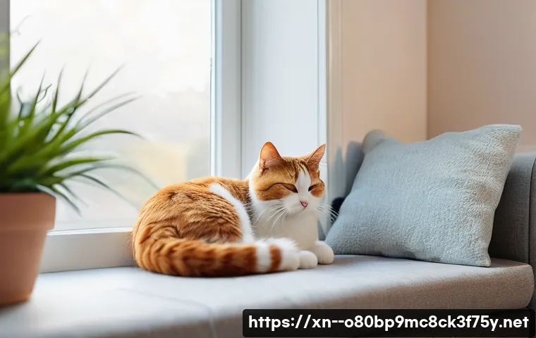 어룡동 STATUS_INVALID_CALLER 관련 이미지 2