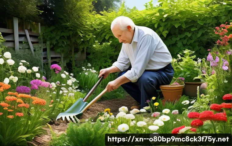 대흥동 STATUS_KERNEL_RESOURCE_ERROR 관련 이미지 2