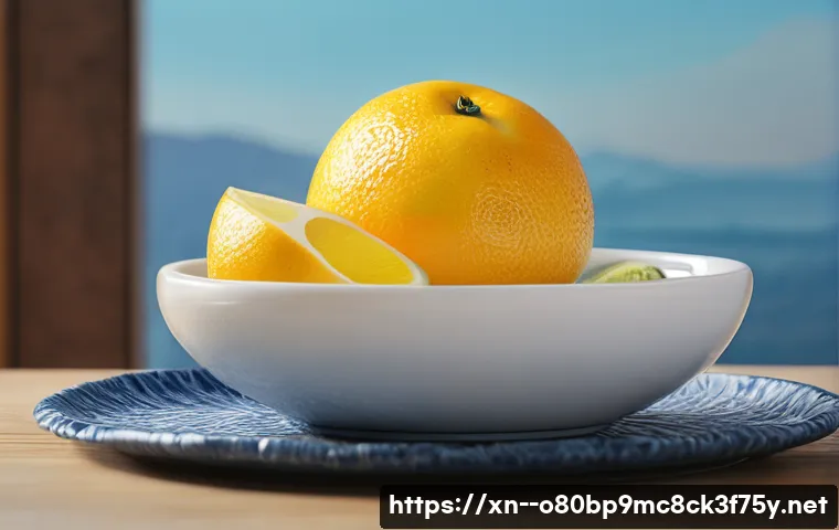 서현동 STATUS_INVALID_PARAMETER 관련 이미지 1