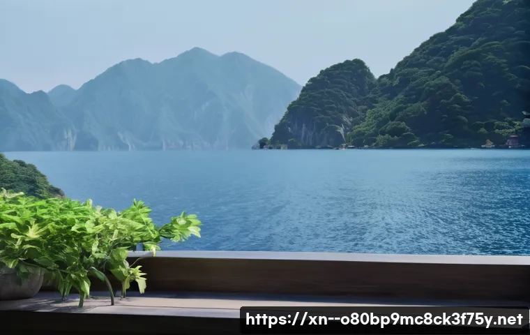 서현동 STATUS_INVALID_PARAMETER 관련 이미지 2