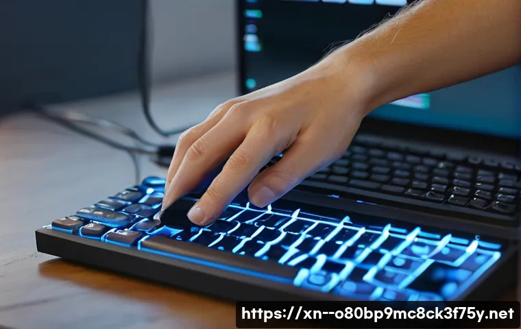 서도면 IO_DEVICE_ERROR 관련 이미지 1