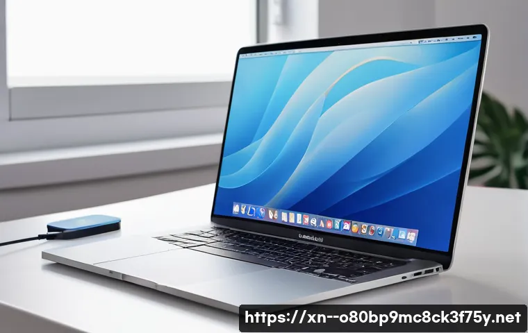 맥금동 HARDWARE_INTERRUPT_STORM 관련 이미지 2