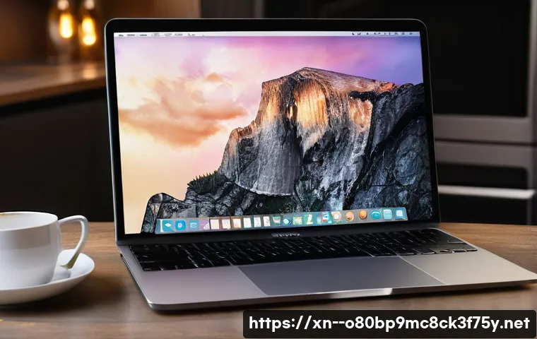 우면동 macosX재설치 포맷  초기화 관련 이미지 2