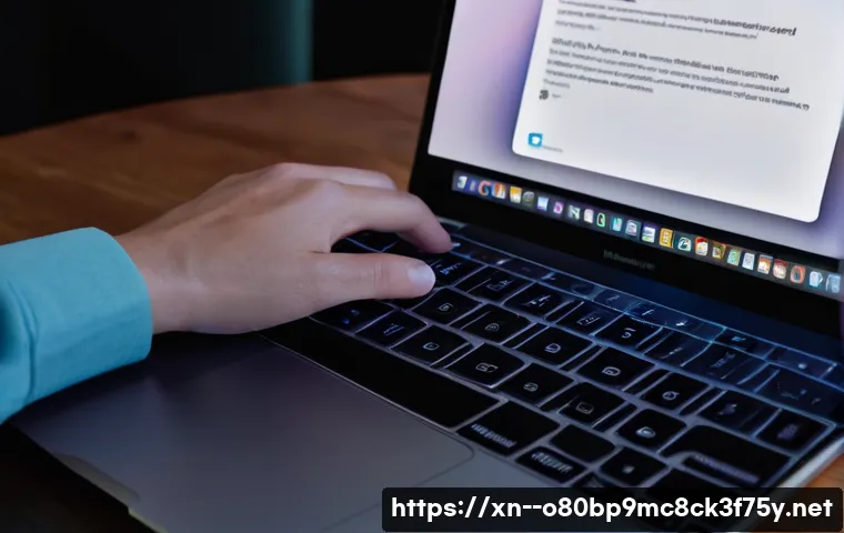 진리동 macosX재설치 포맷 초기화 관련 이미지 1