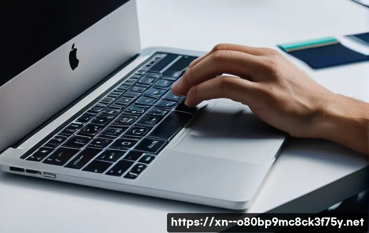 용산구 맥윈도우 부트캠프_bootcamp 재설치 포맷  초기화 관련 이미지 1