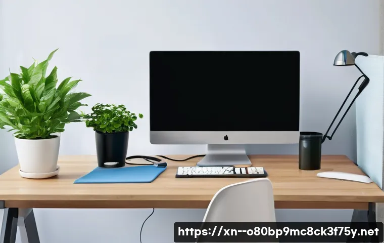 외삼미동 STATUS_KERNEL_EXECUTION_ERROR 관련 이미지 2