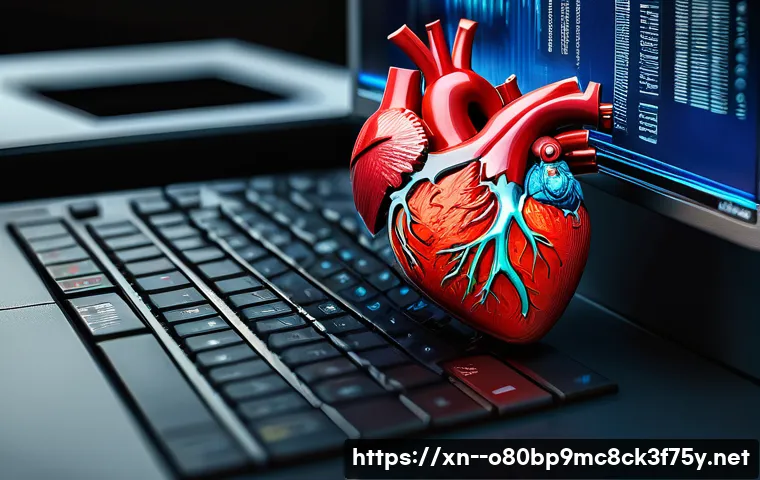 풍산동 STATUS_KERNEL_DRIVER_CORRUPTION 관련 이미지 1