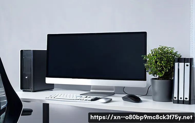 성곡동 VIDEO_MEMORY_MANAGEMENT_INTERNAL 관련 이미지 2