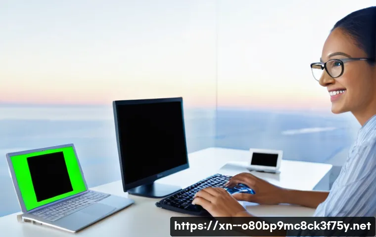 상갈동 STATUS_DISK_WRITE_FAILURE 관련 이미지 2