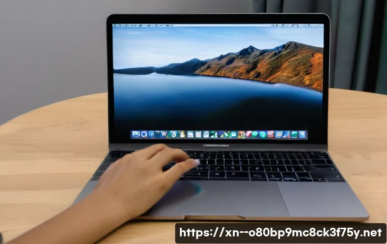 서소문동 맥윈도우 부트캠프_bootcamp 재설치 포맷  초기화 관련 이미지 1