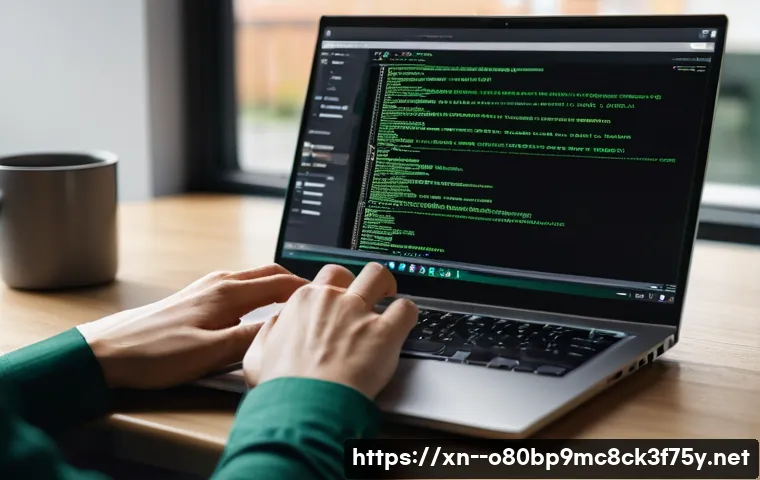 장사동 DRIVER_VERIFIER_DETECTED_VIOLATION 관련 이미지 2