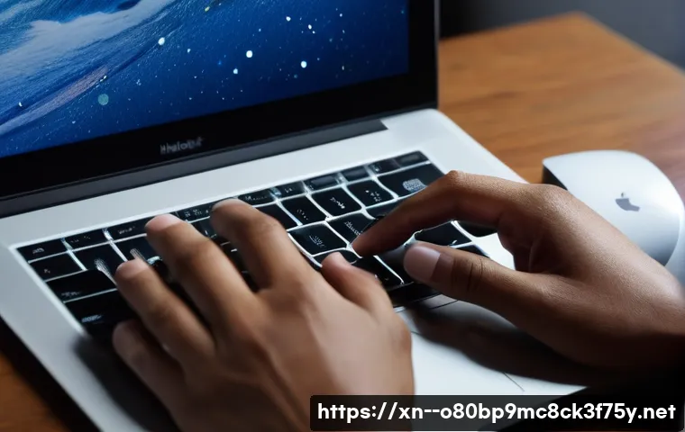 귤현동 macosX재설치 포맷  초기화 관련 이미지 1