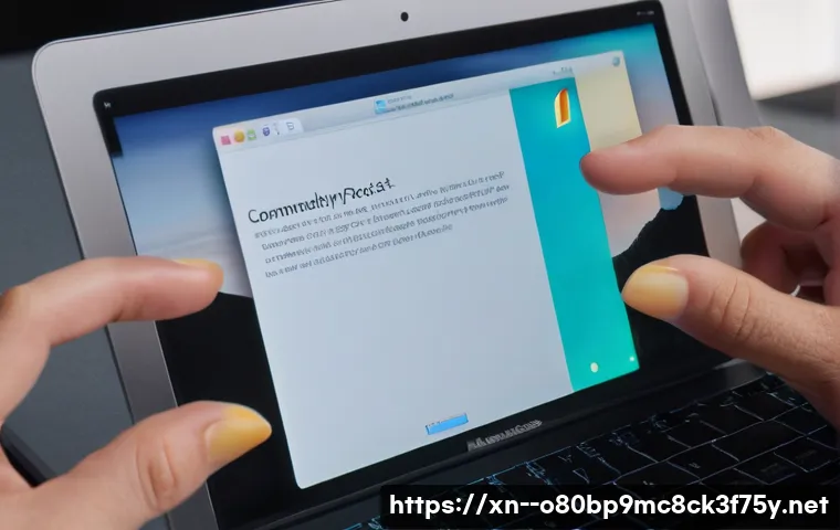 귤현동 macosX재설치 포맷  초기화 관련 이미지 2