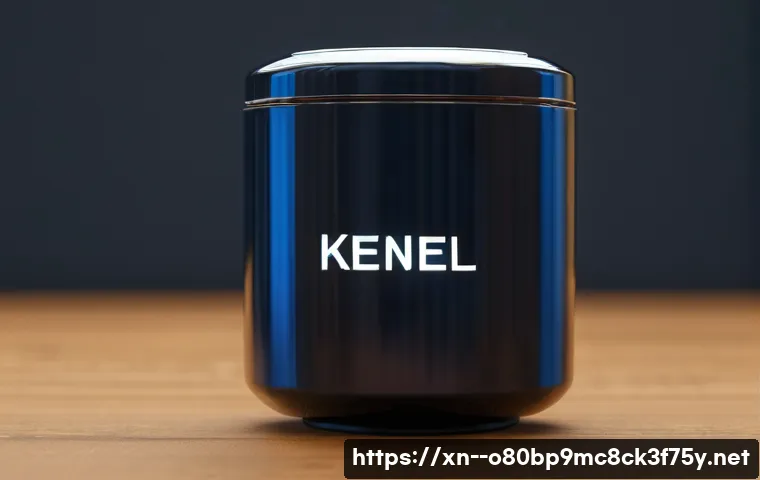 현암동 STATUS_KERNEL_DEBUG_FAILURE 관련 이미지 1