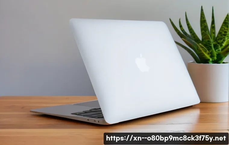 구리시 macosX재설치 포맷 초기화 관련 이미지 2