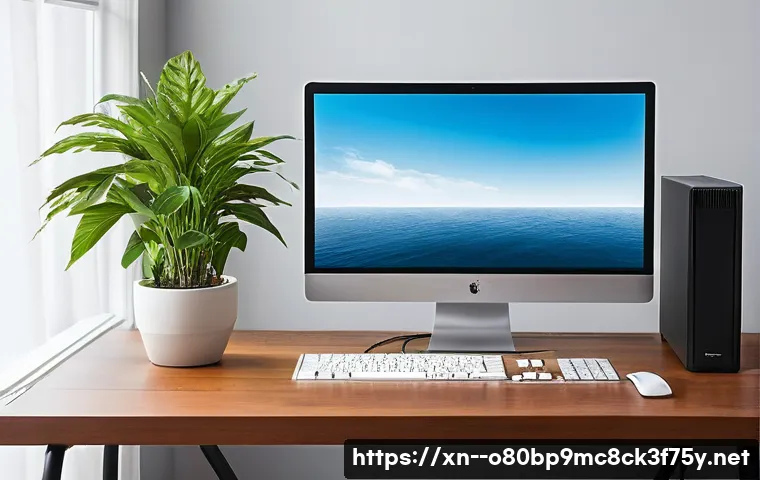 삼숭동 VIDEO_MEMORY_MANAGEMENT_INTERNAL 관련 이미지 2