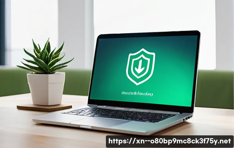 탄벌동 STATUS_INVALID_IMAGE_FORMAT 관련 이미지 2