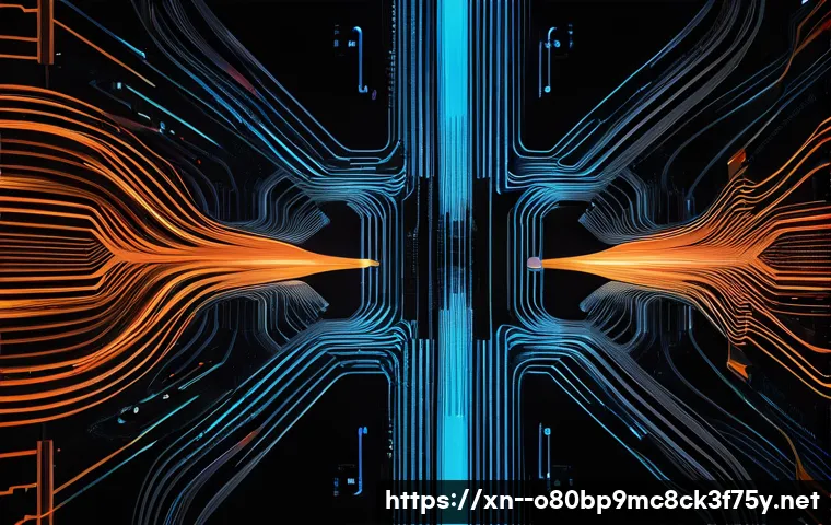 이패동 STATUS_RESOURCE_NOT_OWNED 관련 이미지 1