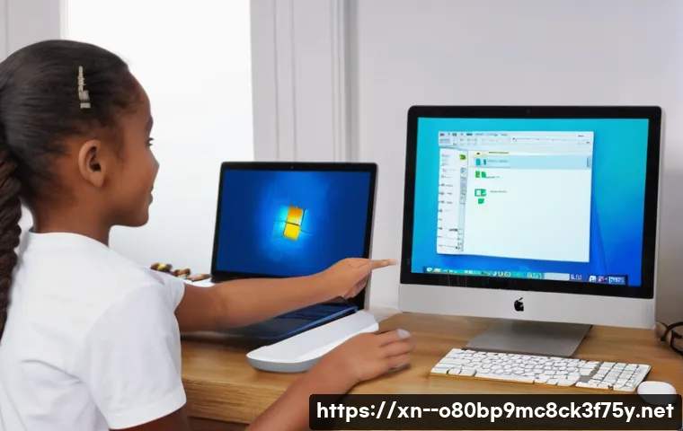 대월면 STATUS_DISK_CORRUPTION 관련 이미지 1