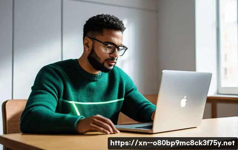 효자동 POOL_CORRUPTION_IN_FILE_AREA 관련 이미지 2