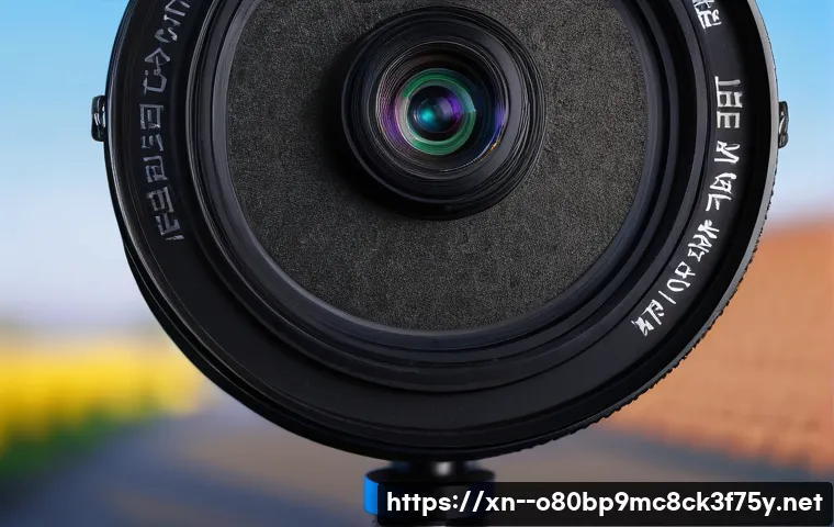 선원면 PFN_LIST_CORRUPT 관련 이미지 1