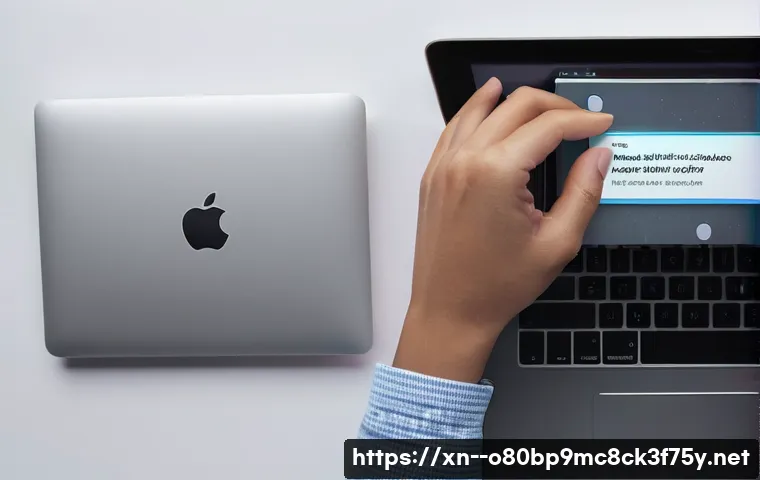 신곡동 macosX재설치 포맷 초기화 관련 이미지 1