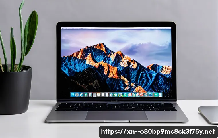 신곡동 macosX재설치 포맷 초기화 관련 이미지 2