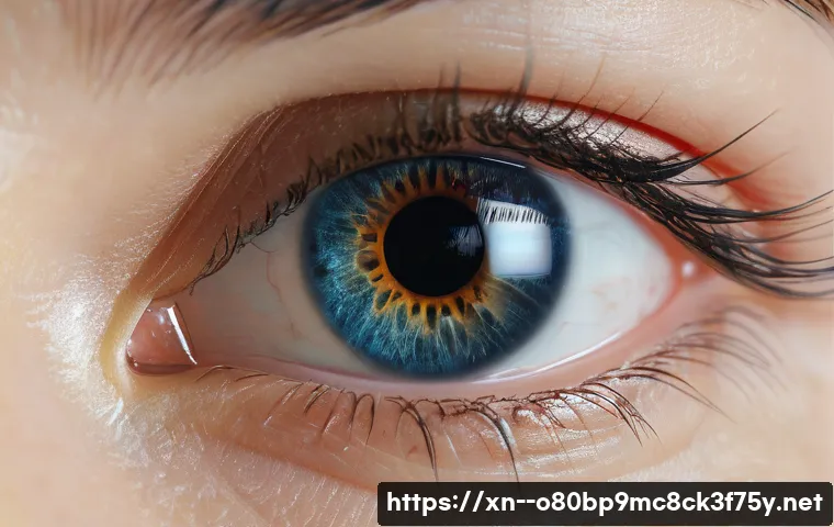 공덕동 KERNEL_DATA_INPAGE_ERROR 관련 이미지 1