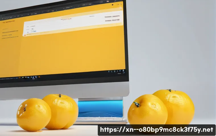 도마교동 KERNEL_DATA_INPAGE_ERROR 관련 이미지 2