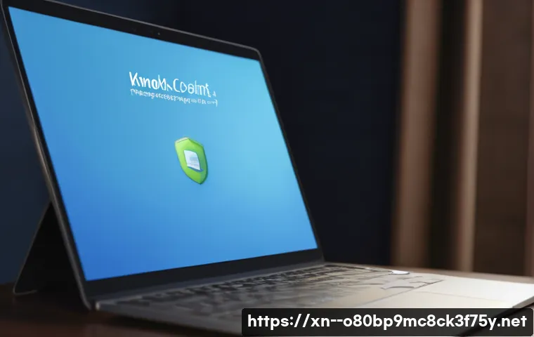 내가면 STATUS_KERNEL_HANDLE_INVALID 관련 이미지 1