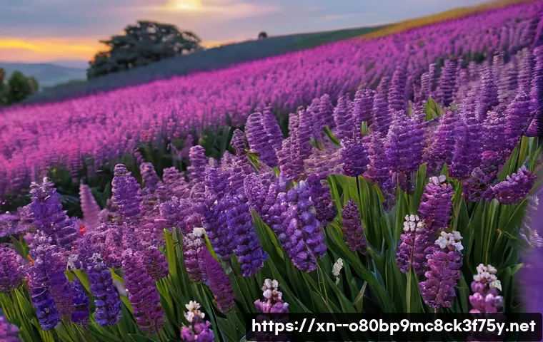 동구동 프로그램응답없음 관련 이미지 1