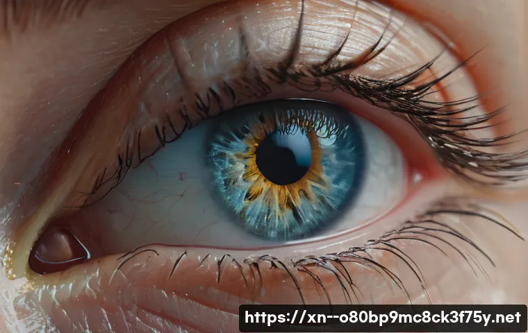 일원동 STATUS_INVALID_IMAGE_FORMAT 관련 이미지 1