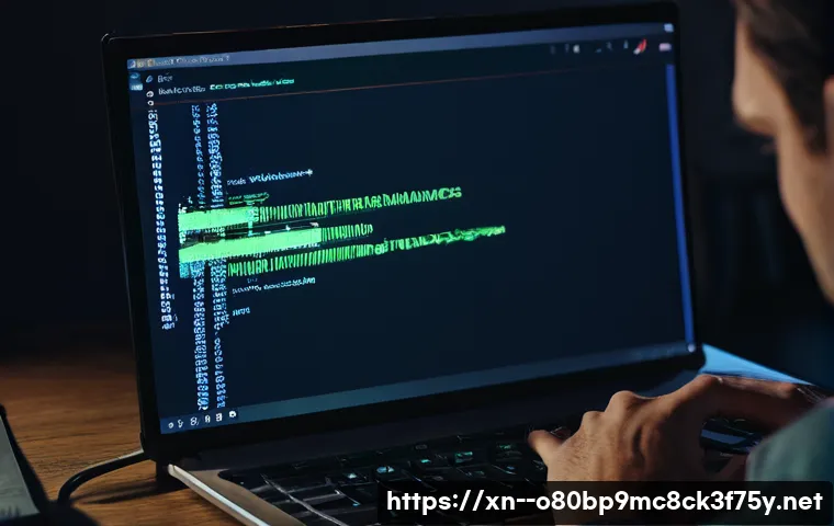 일원동 STATUS_INVALID_IMAGE_FORMAT 관련 이미지 2