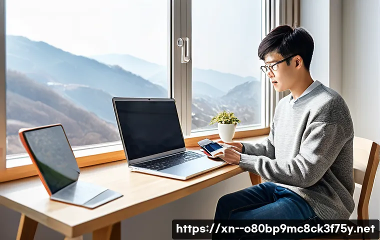 성북구 STATUS_IO_TIMEOUT 관련 이미지 1