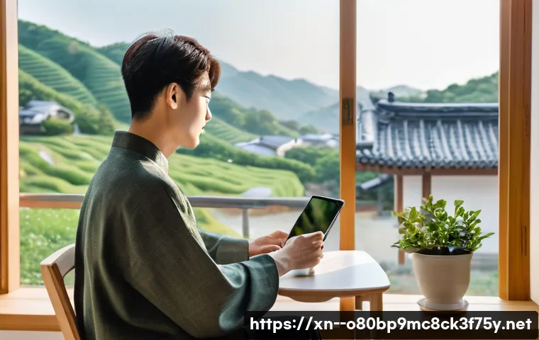 성북구 STATUS_IO_TIMEOUT 관련 이미지 2