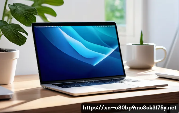 화성시 macosX재설치 포맷  초기화 관련 이미지 1