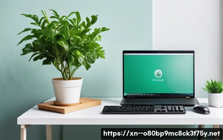 석수동 DPC_WATCHDOG_VIOLATION 관련 이미지 2