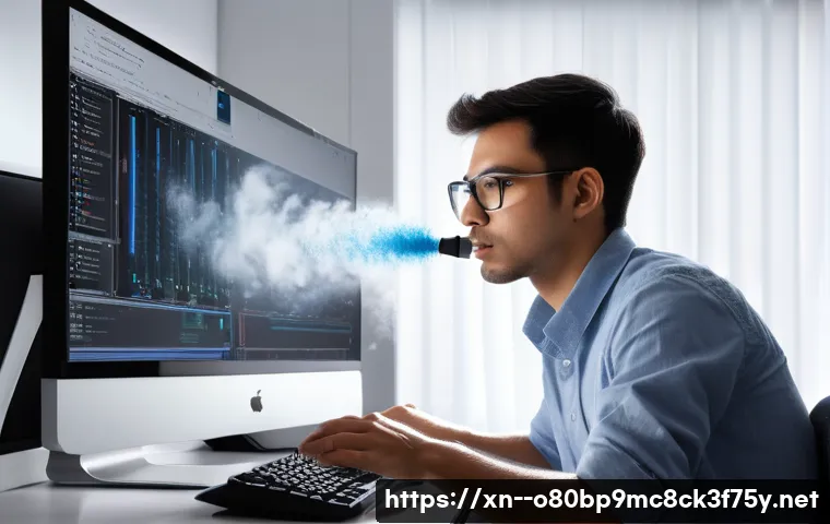 하산운동 POOL_CORRUPTION_IN_FILE_AREA 관련 이미지 2