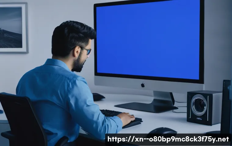 진리동 STATUS_PAGE_FAULT 관련 이미지 1