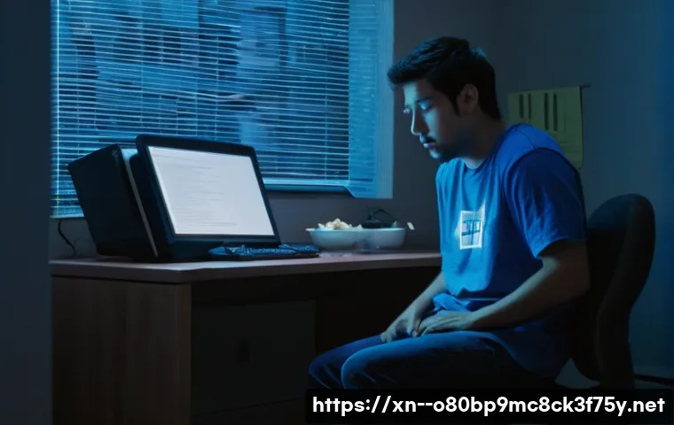 진리동 STATUS_PAGE_FAULT 관련 이미지 2