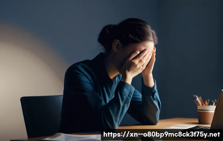 매향동 STATUS_DISK_CORRUPTION 관련 이미지 1