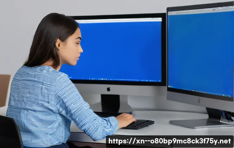 세종로 STATUS_KERNEL_MEMORY_LEAK 관련 이미지 1