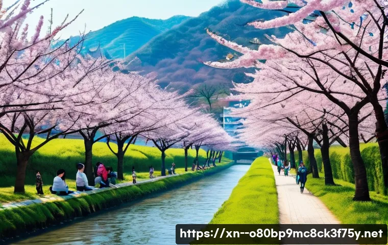 양재동 STATUS_FLOAT_INVALID_OPERATION 관련 이미지 2