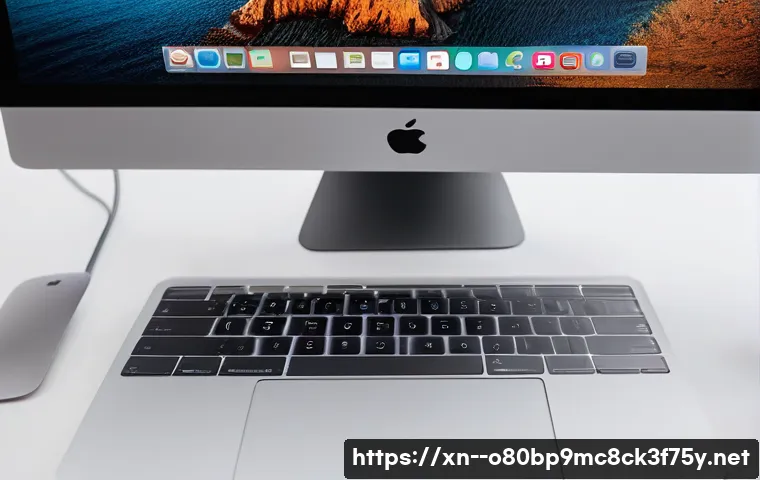 평리동 macosX재설치 포맷  초기화 관련 이미지 1