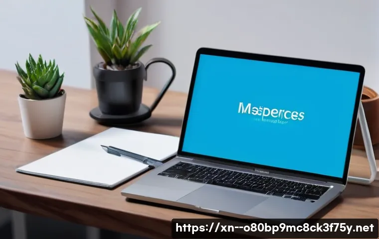 평리동 macosX재설치 포맷  초기화 관련 이미지 2