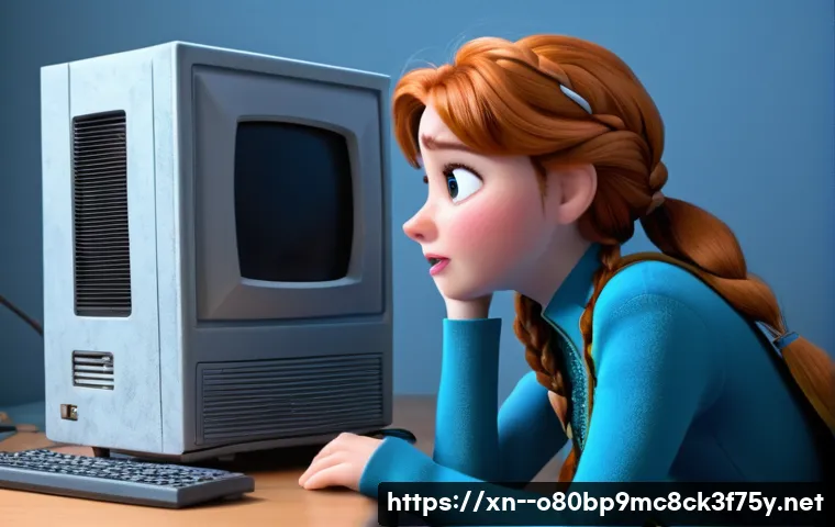 견지동 HARDWARE_MEMORY_FAILURE 관련 이미지 1