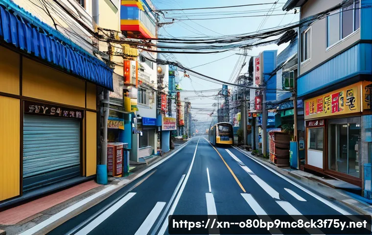 원평동 STATUS_MEMORY_OVERFLOW 관련 이미지 1